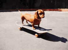 How to Choose the Best Skateboards for Beginners – Quick Guide 2024